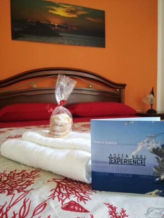 Asceaexperience Rooms Eksteriør bilde